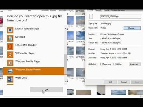 Open JPG File- What is a JPG File & How to open it?